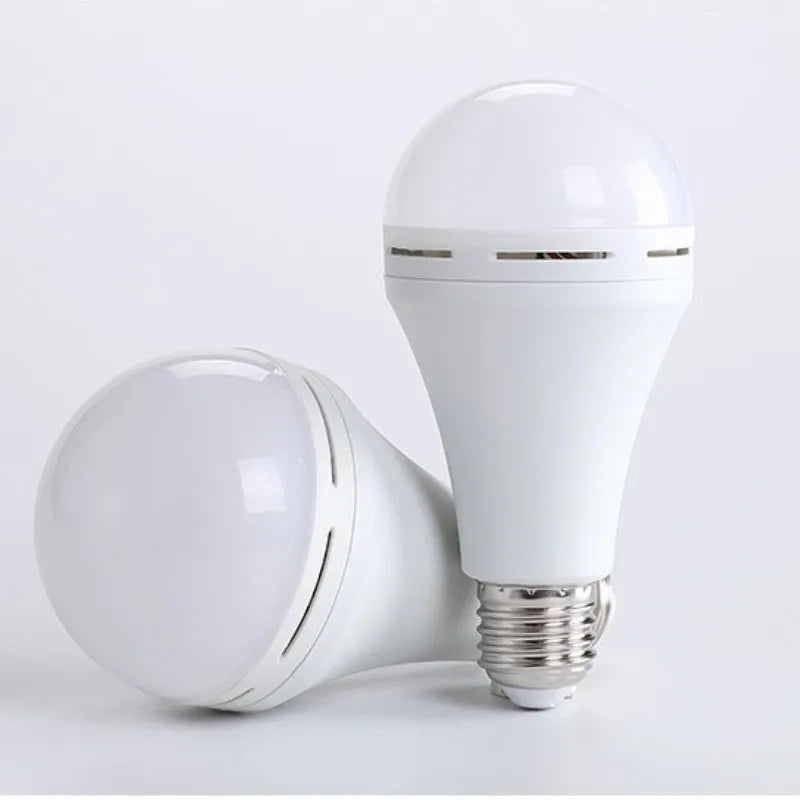 EcoBright™-LED Emergency Light